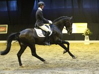 Don Tango 201113_1784